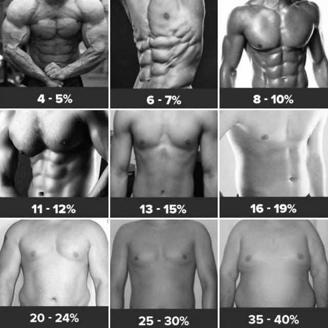 an image showcasing the ibody fat percentage for abs men need to reach